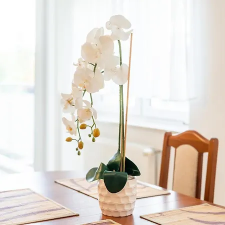 Laba Zielone Tarasy Appartement *